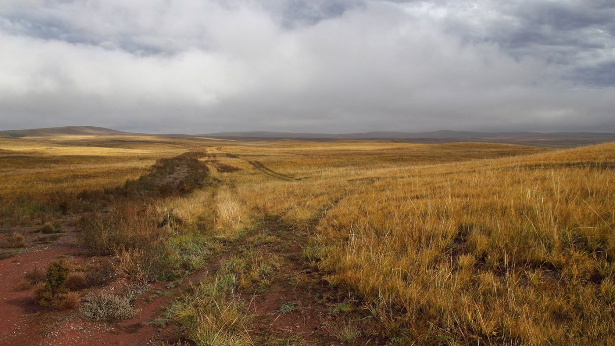 Южные степи России