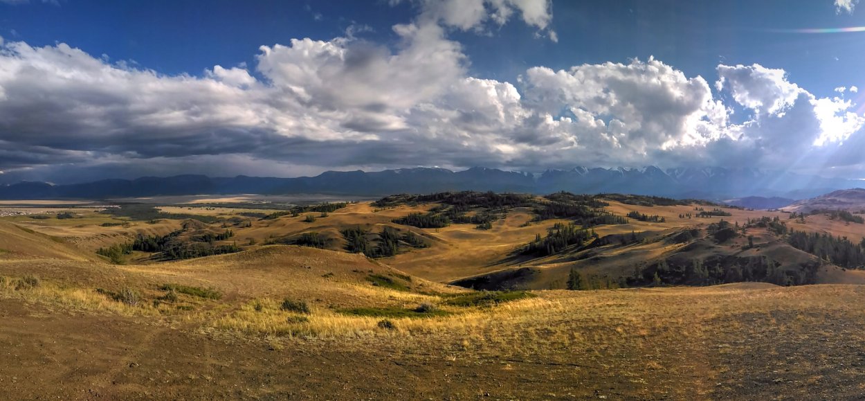 Степи Алтайского края