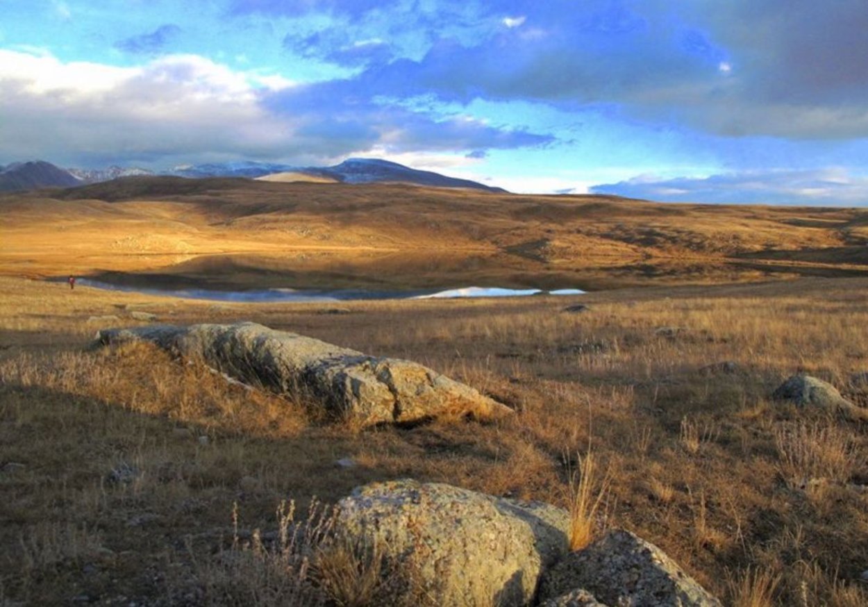 Степь на английском