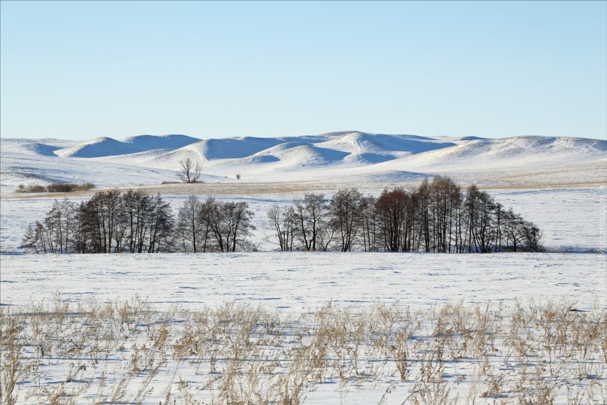Зимняя степь Оренбург