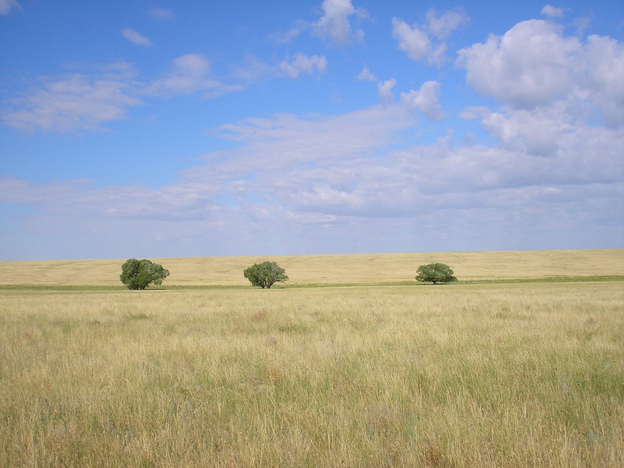 Степи Нижнего Поволжья