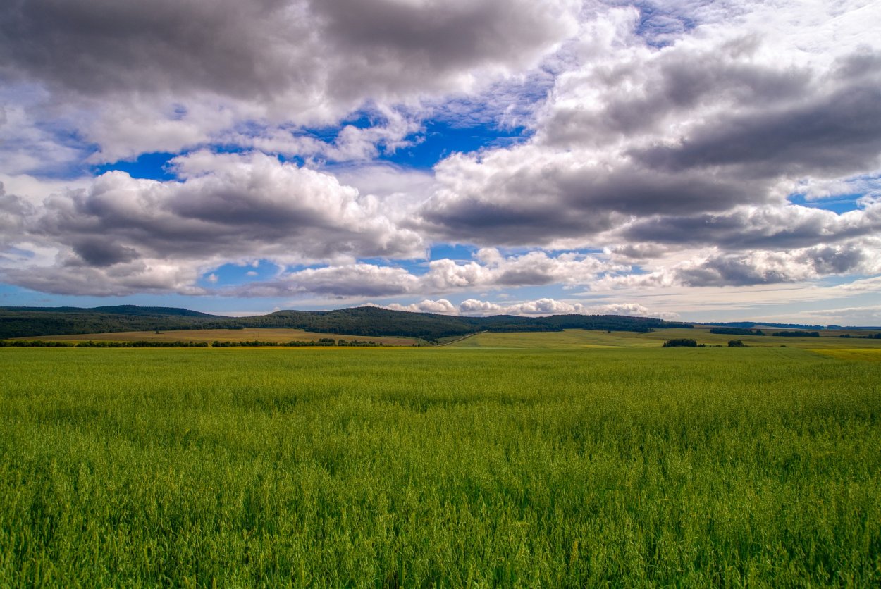 Степи Хакасии