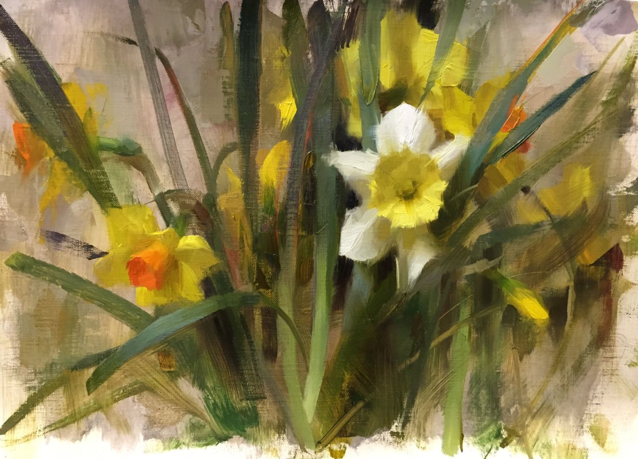 Комнатный Нарцисс