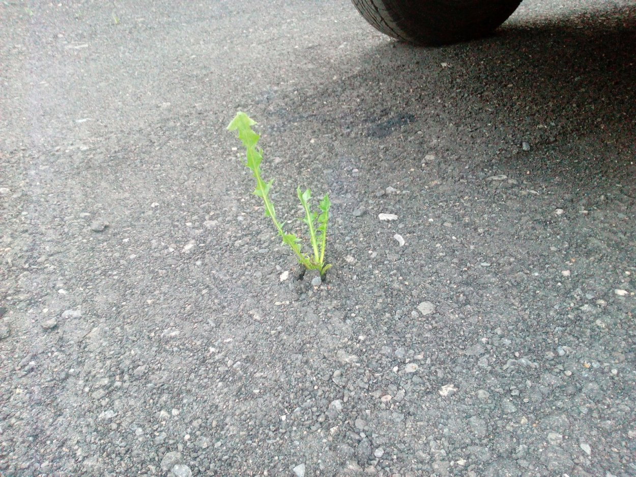 Заклепочник Stayer PROFIX rx600 3104