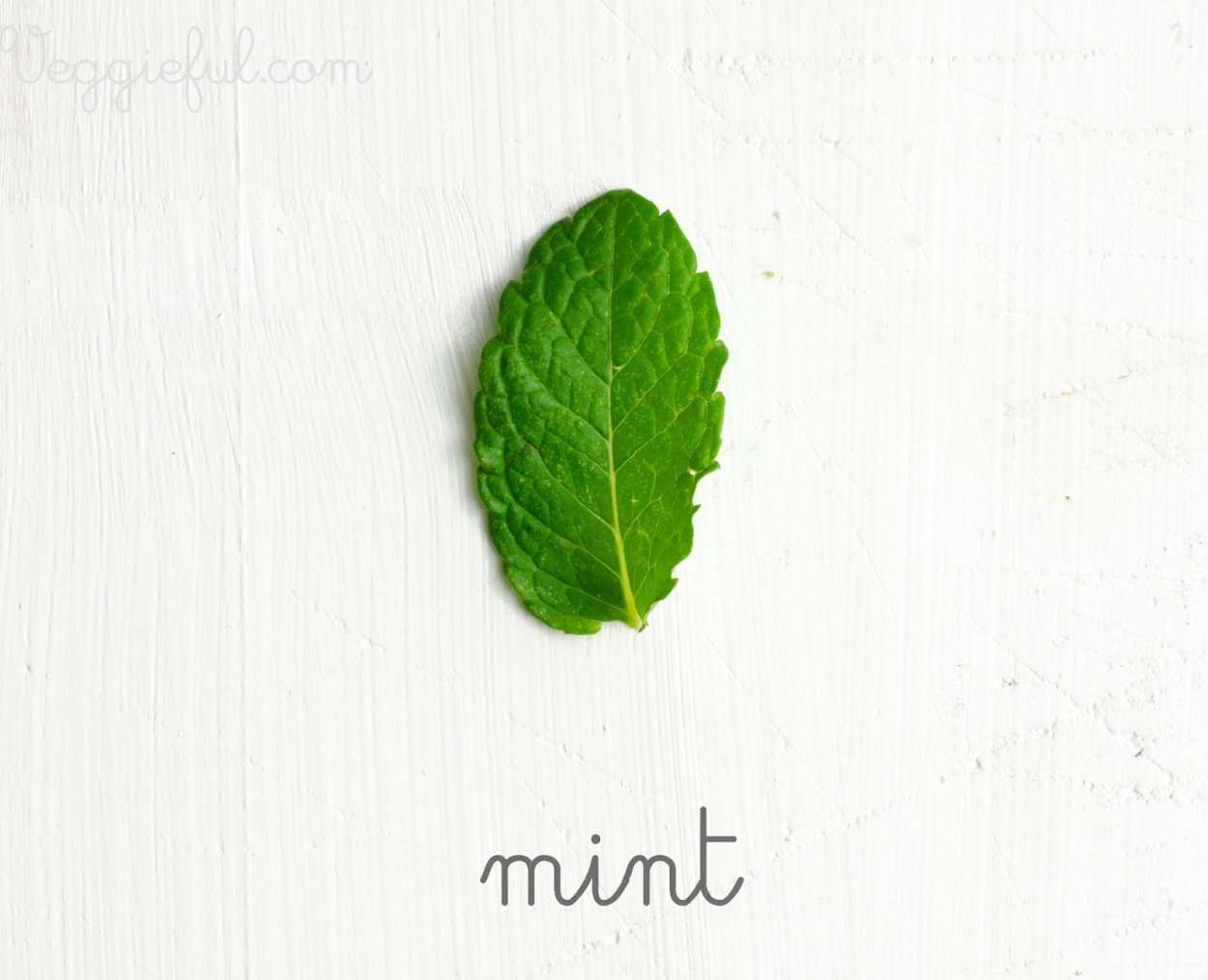 Мята остролистная