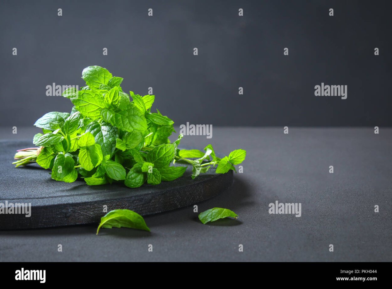 Мята перечная