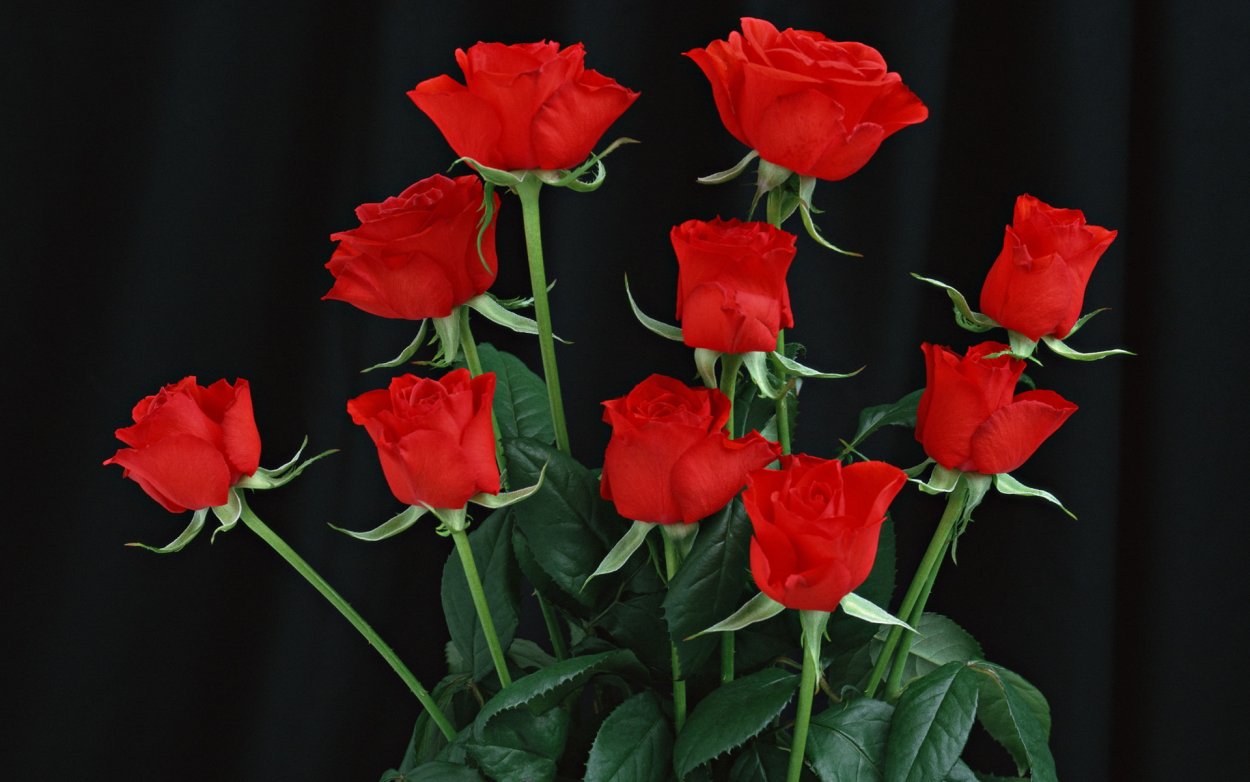 Цветы лежат