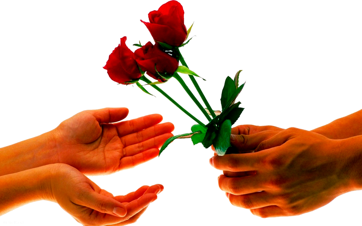 Четное количество роз в букете