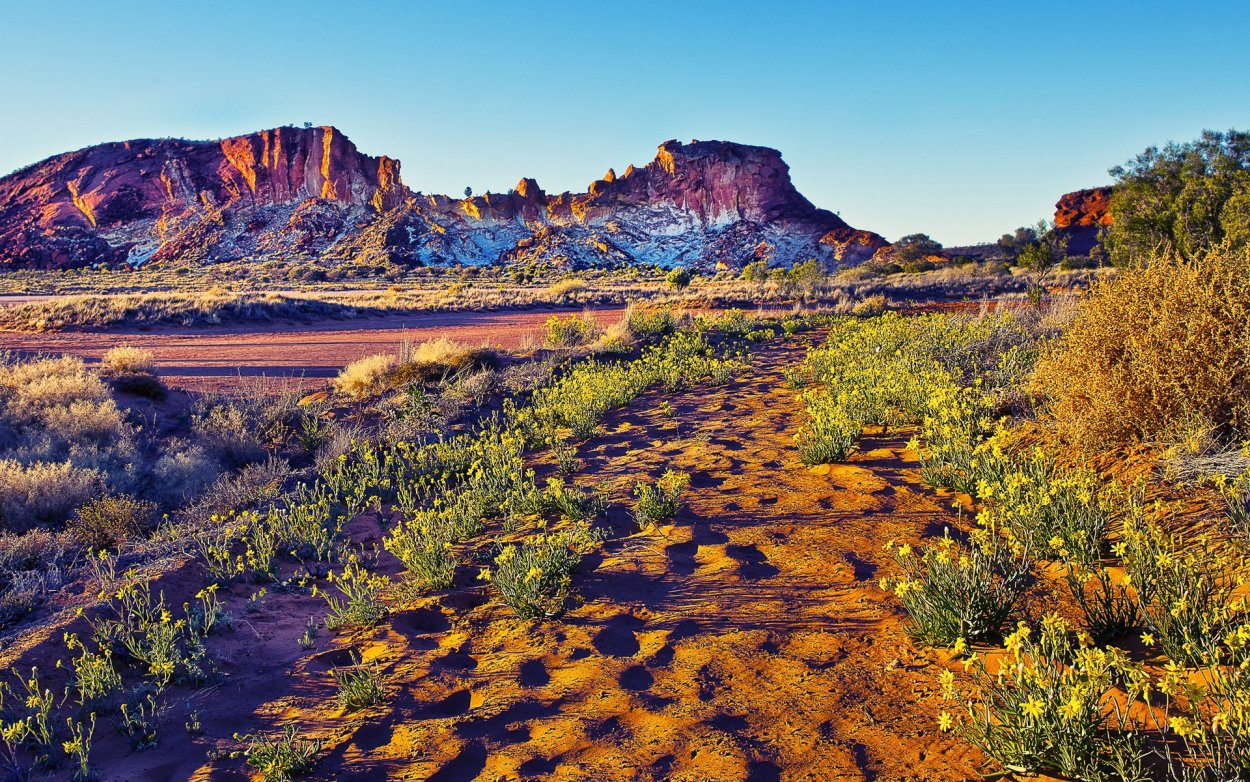 Прерия Северной Америки