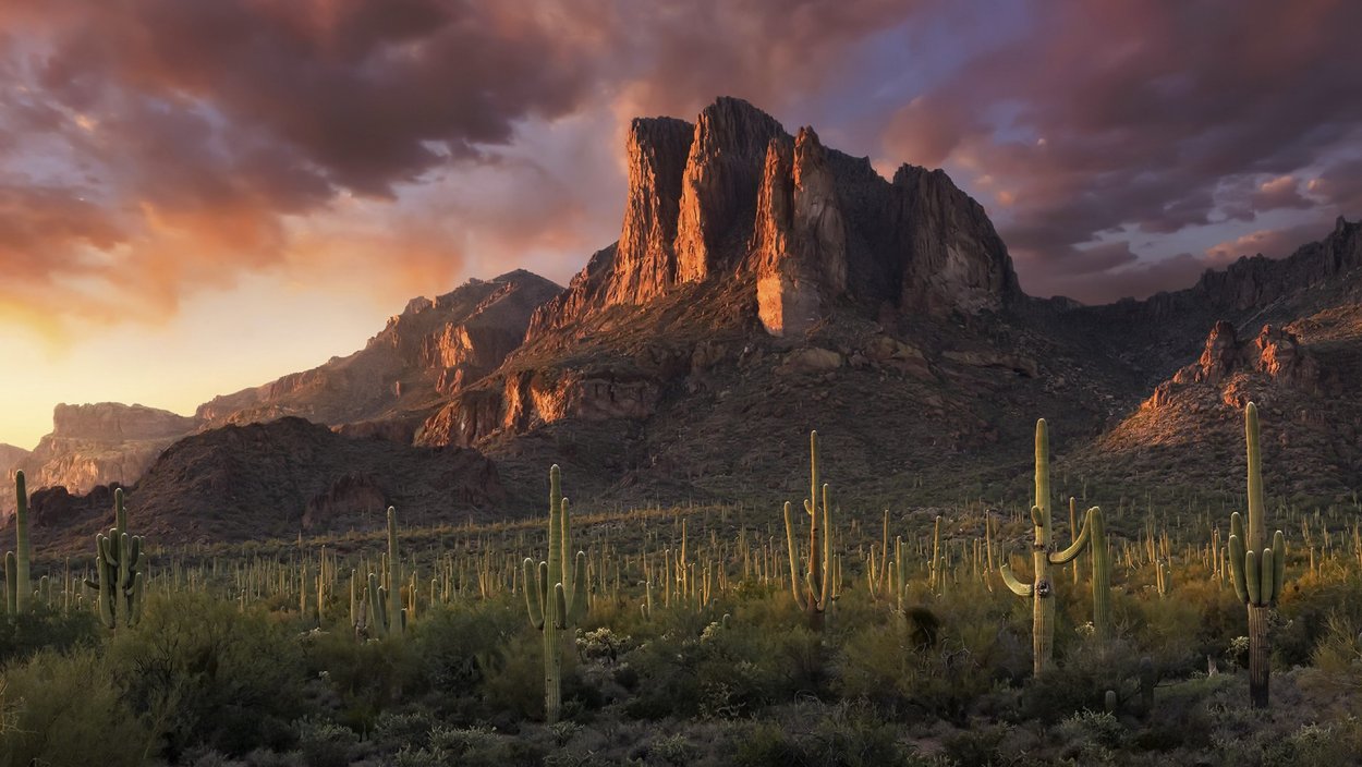 Пустыня Сонора