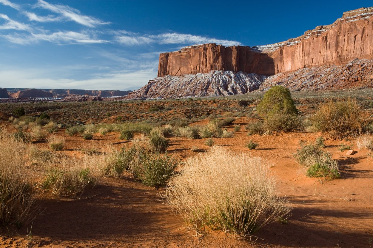 Джексонские прерии