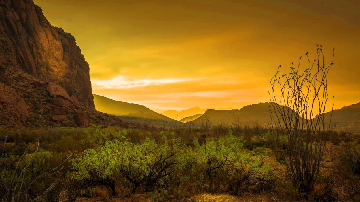 Штат Техас природа