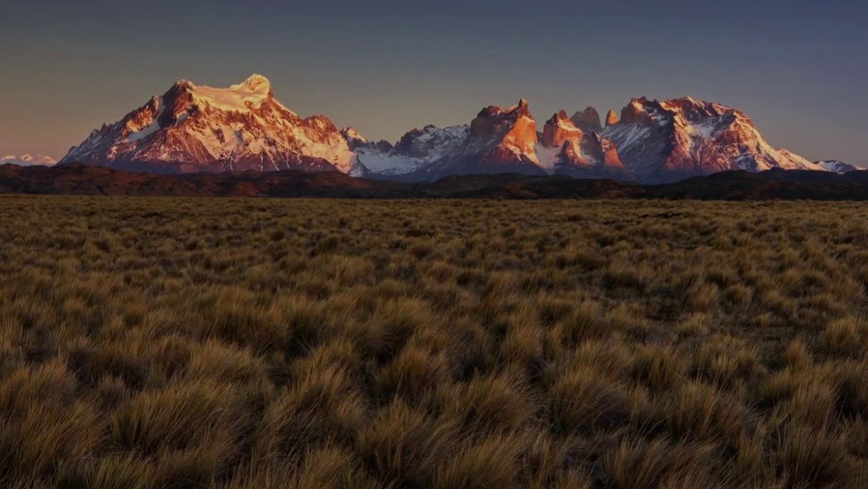 Пампасы Южной Америки