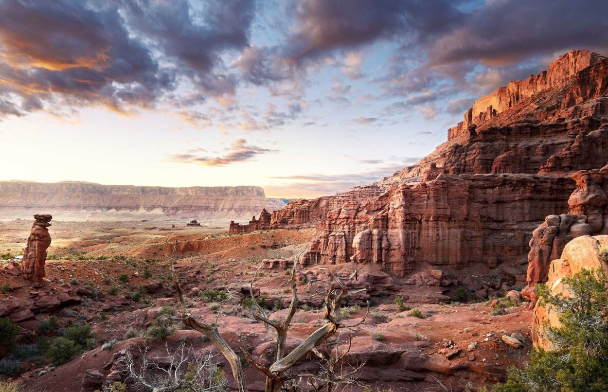 Прерия дикого Запада