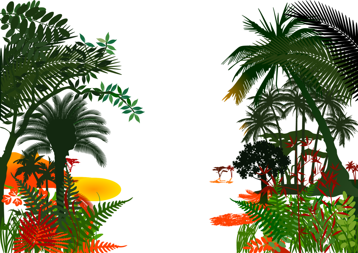 Джунгли на прозрачном фоне