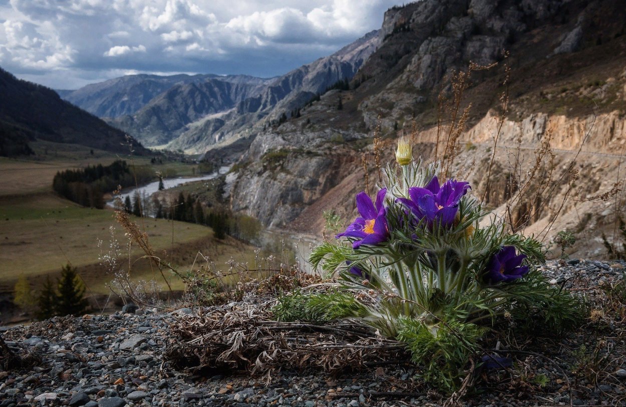 Весна пришла