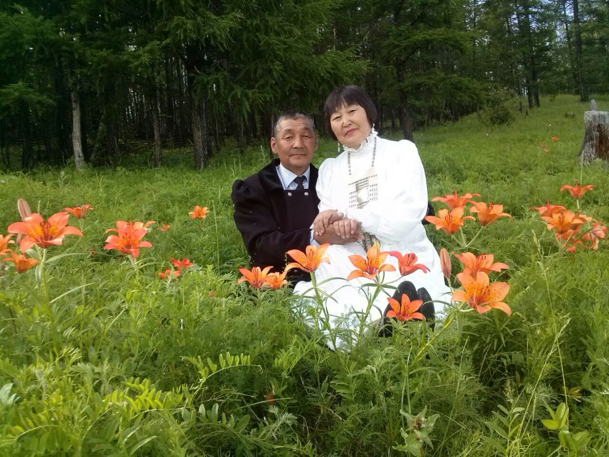 Лоокут сибэкки