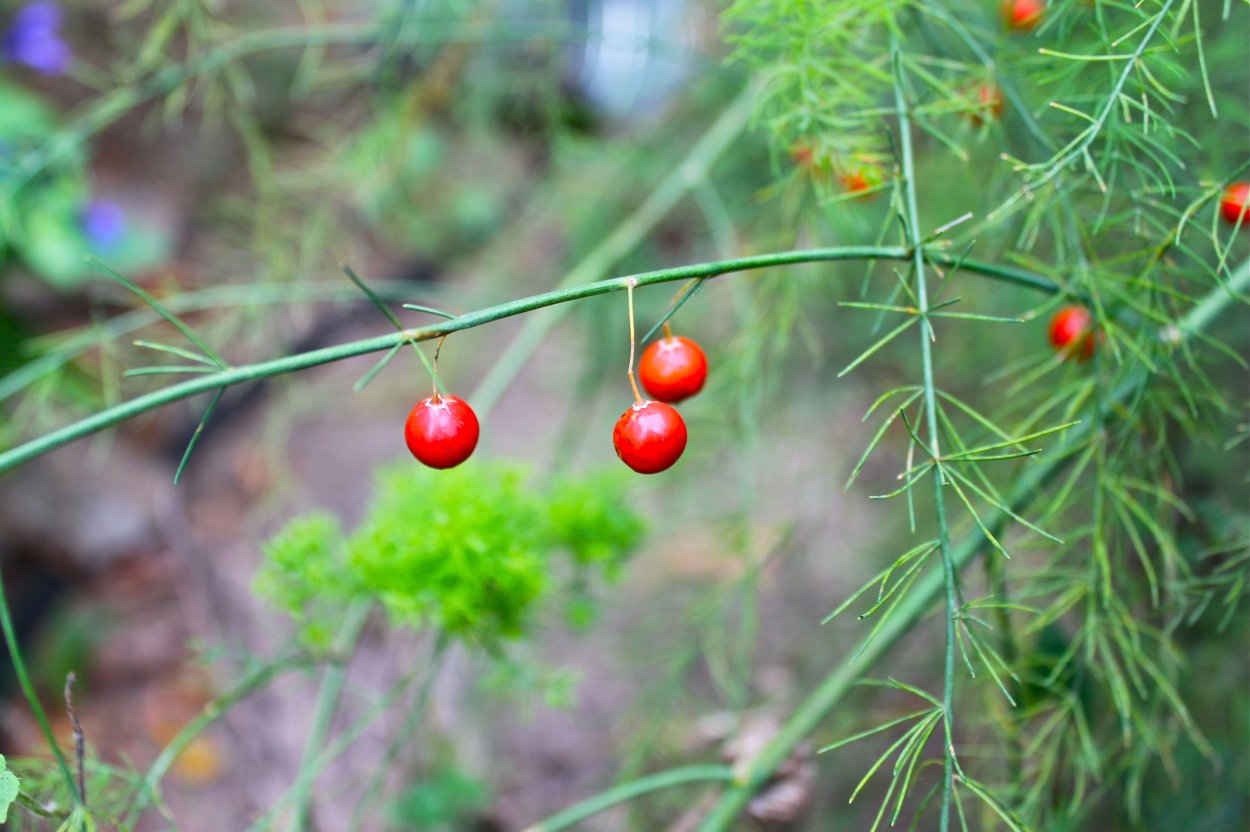 Лада Калина 1 универсал с черными бамперами
