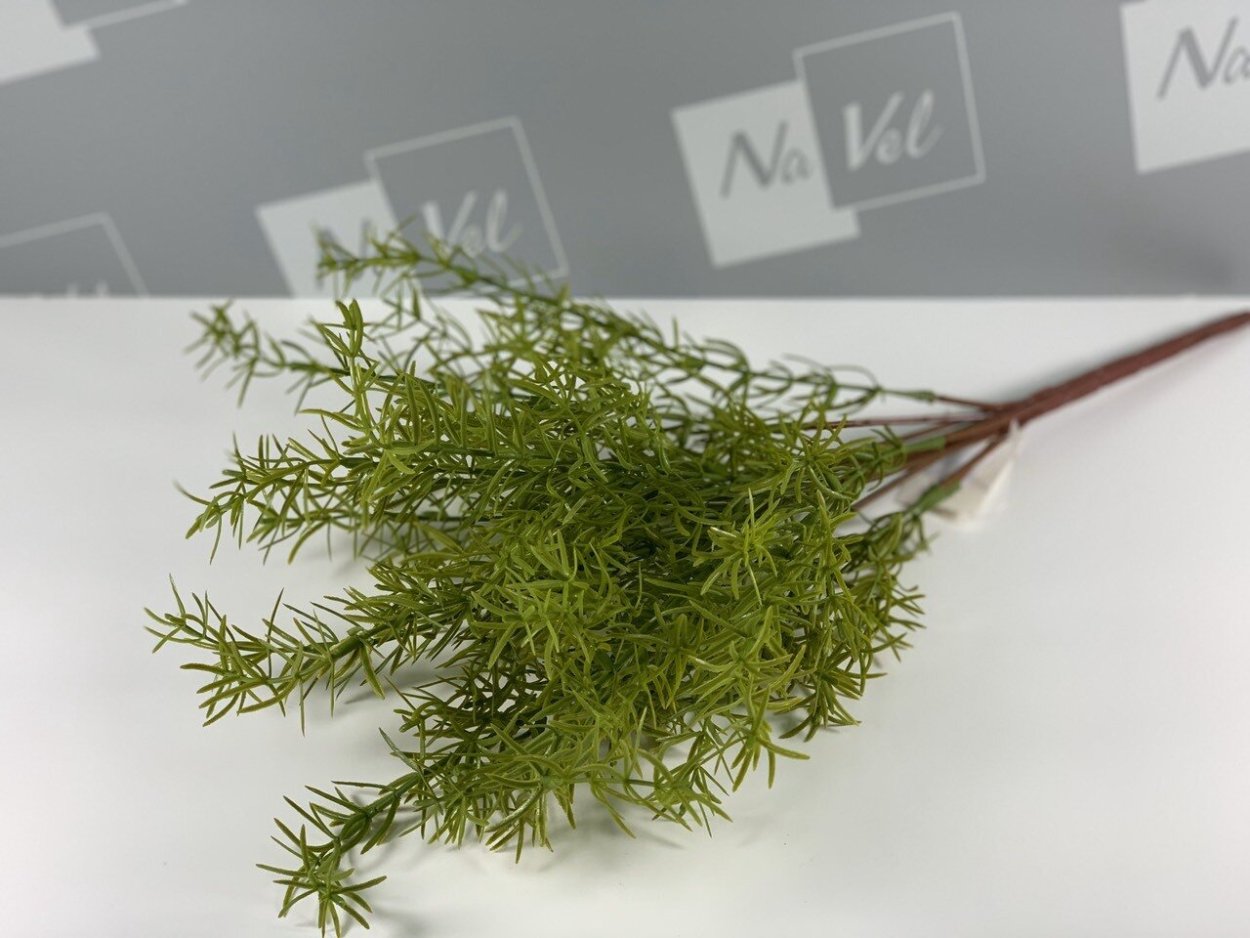 Спаржа с красными ягодками