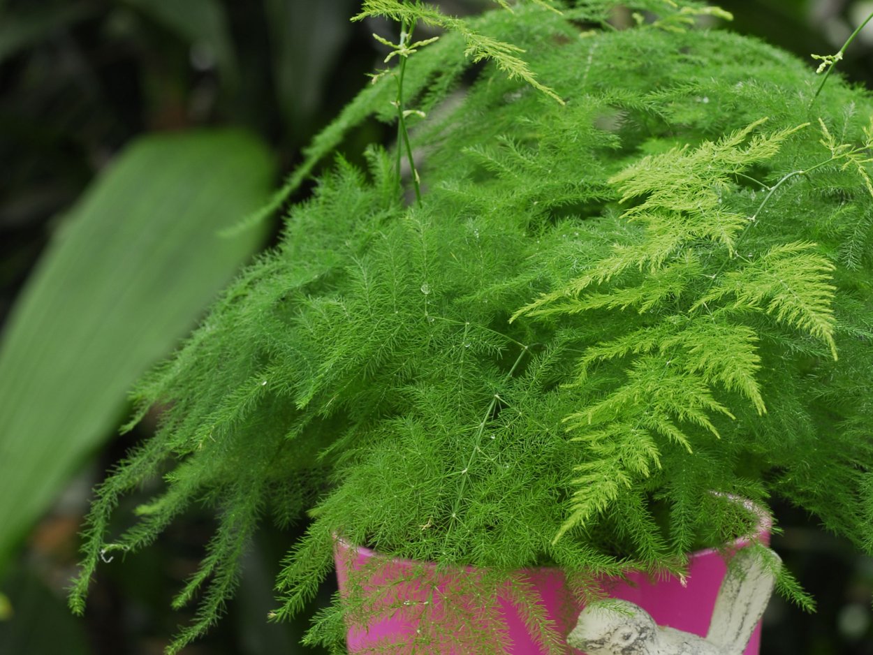 Лада Калина седан на пневме