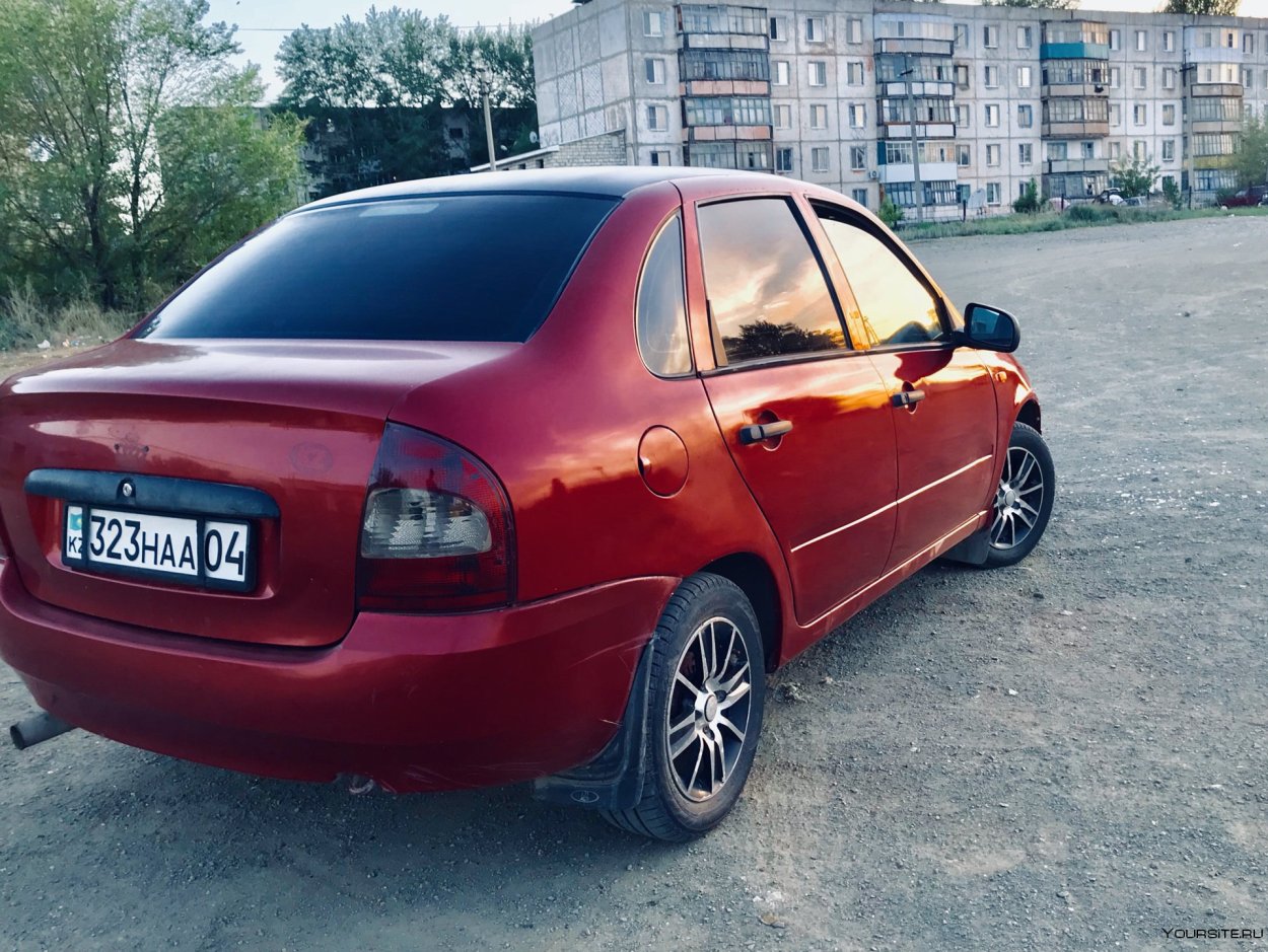 Хедера, аспарагус в композициях