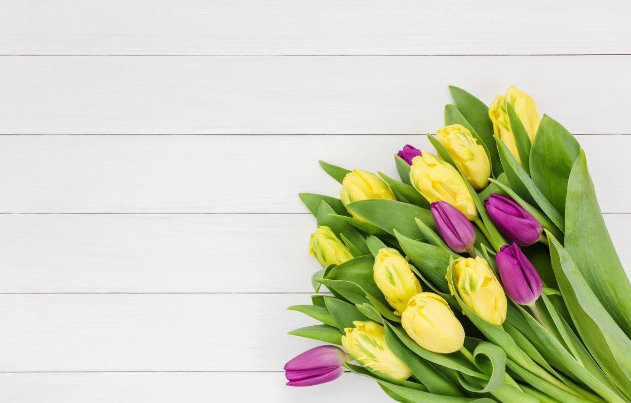 Тюльпан Purple Bouquet