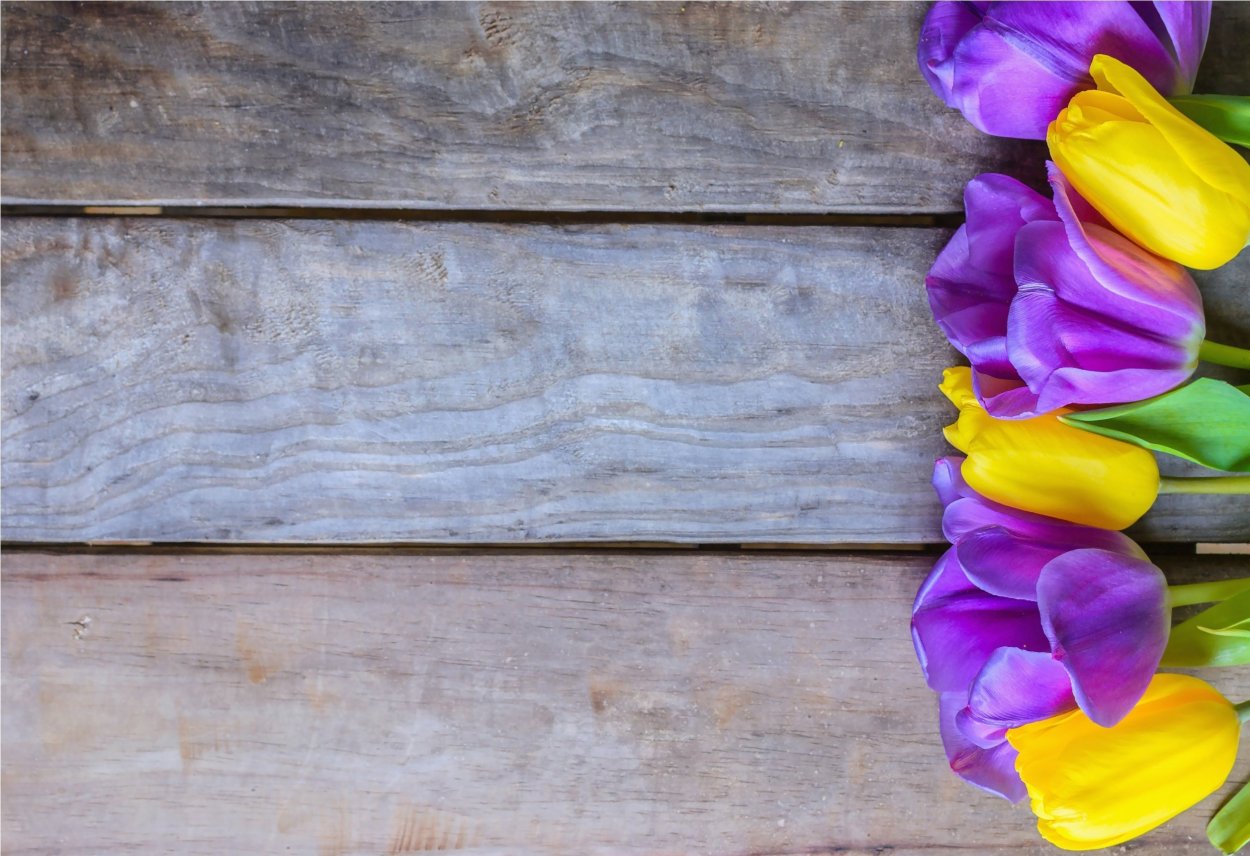 Цветы на фоне досок