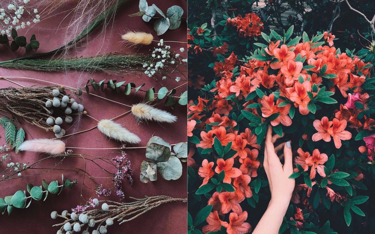 Девушка цветы Минимализм