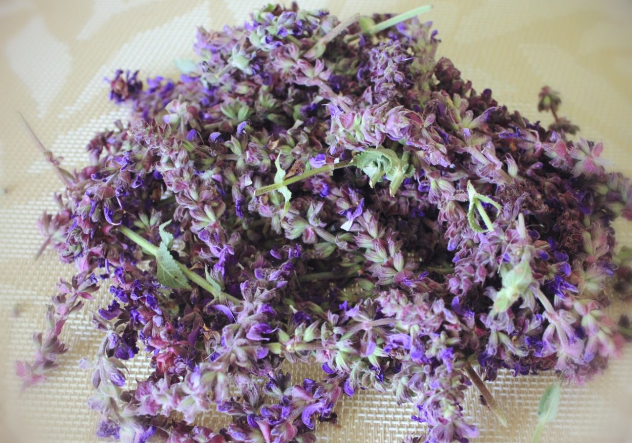 Шалфей лист ф/п 1,5г №20