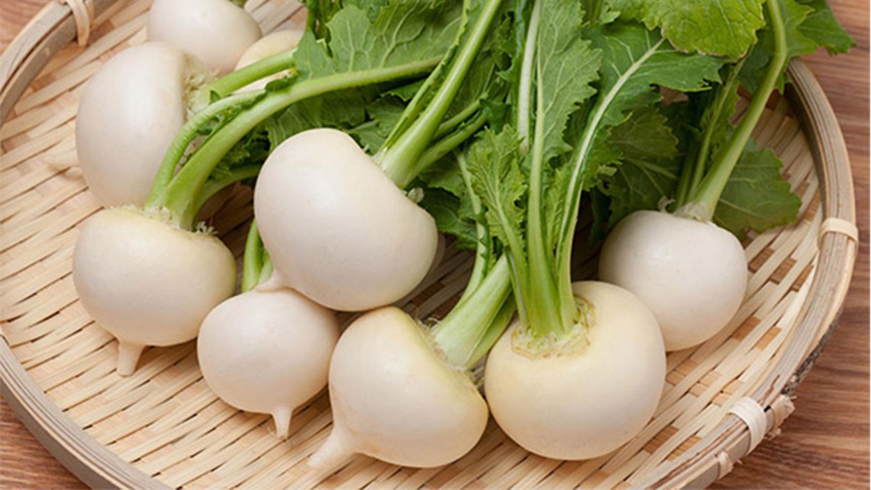 Семена репа гейша