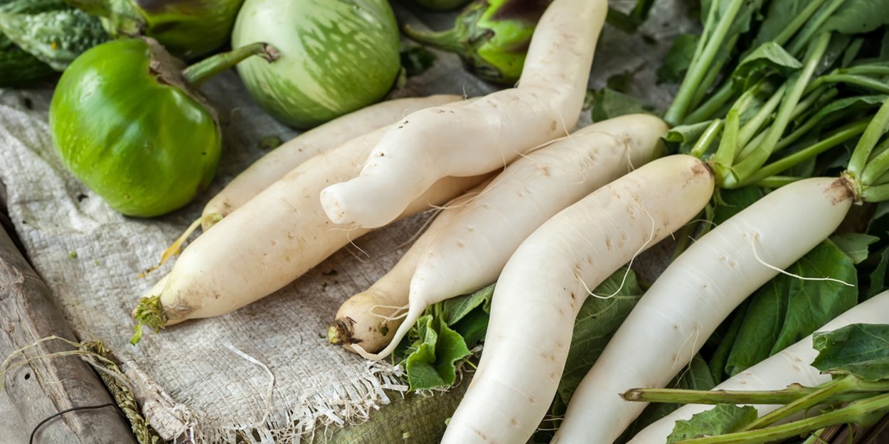 Дайкон Миясиге