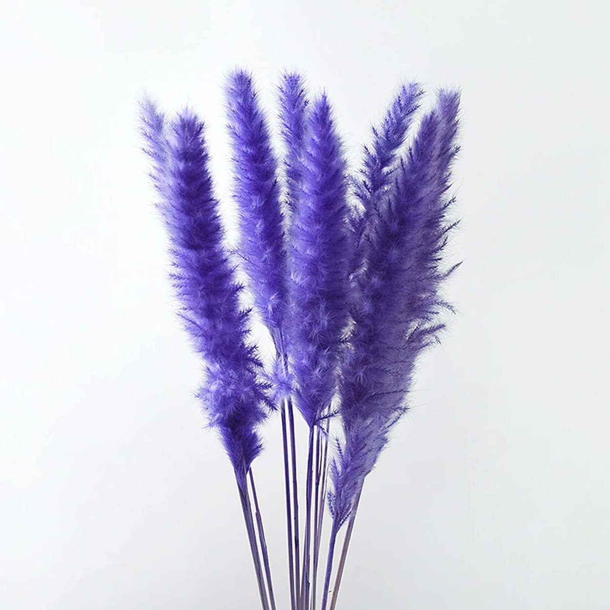 Пампасы Тиффани