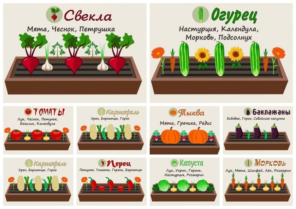 Инструкция сборки металлической грядки