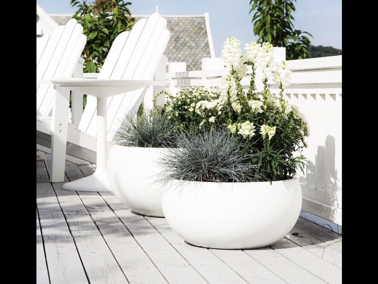 Кадочное Озеленение