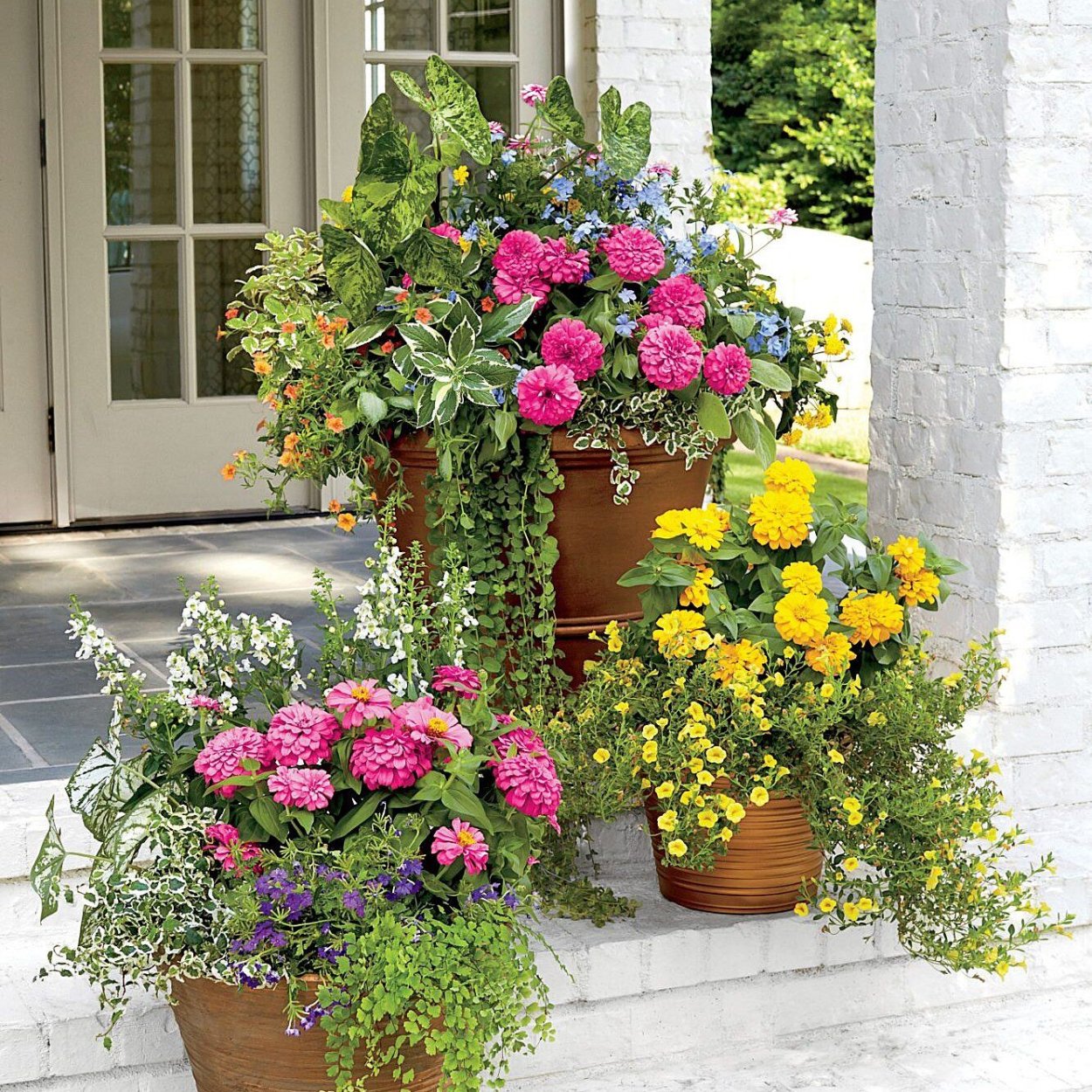 Кадочное Озеленение