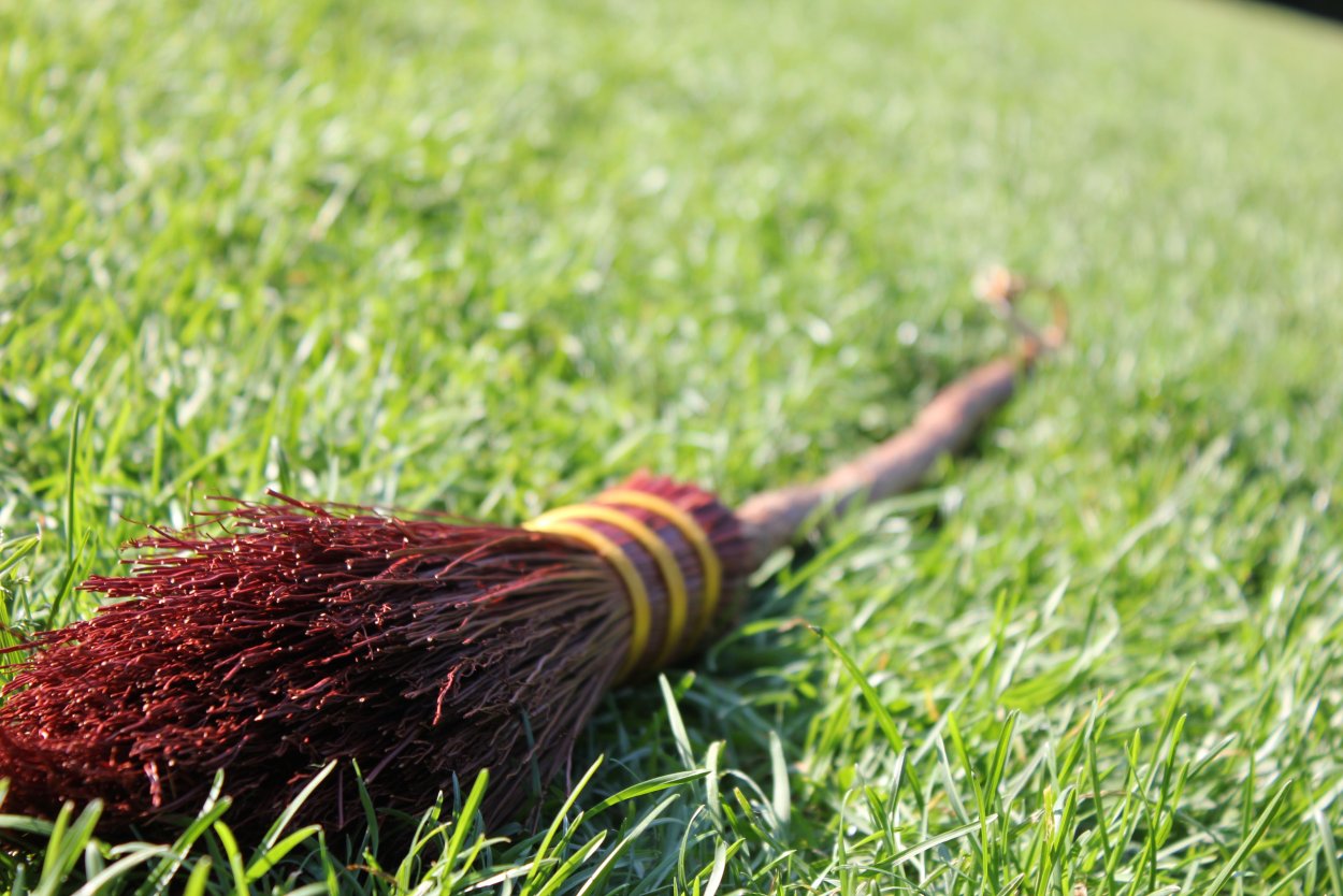 Мискантус китайский Gracillimus