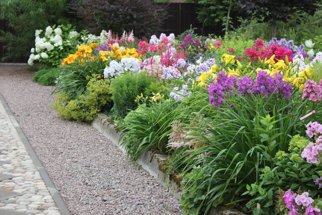 Сад Юрия Марковского