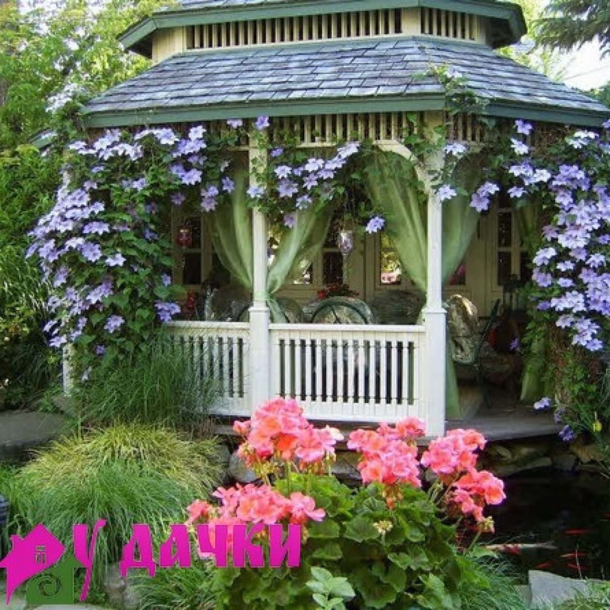 Клематис на клумбе