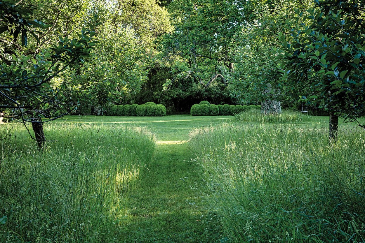 Зеленый сад