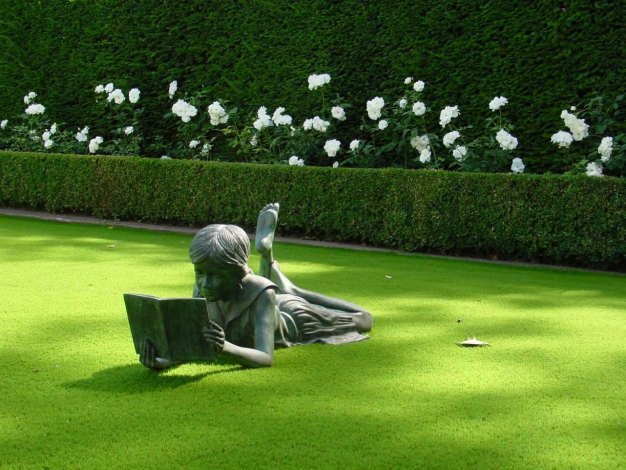 Необычные газоны