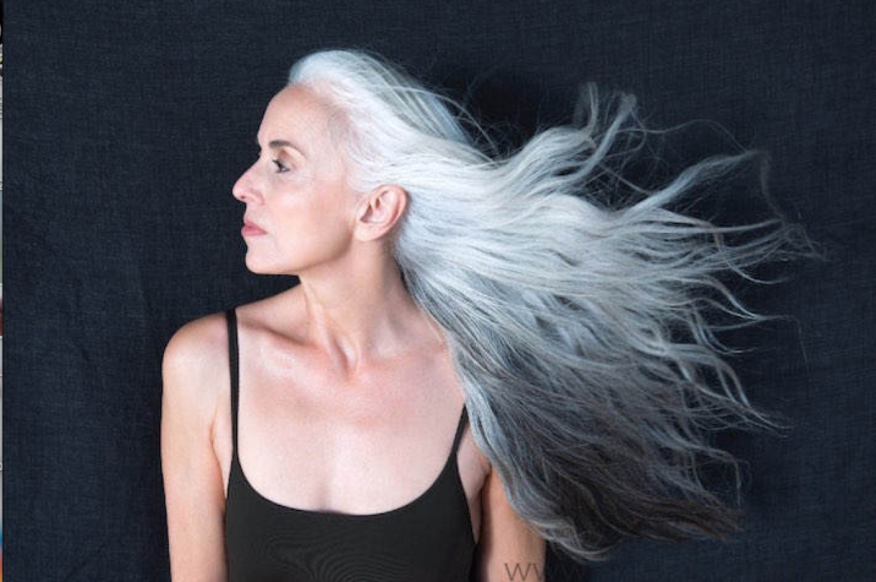 Степь Полынь ковыль