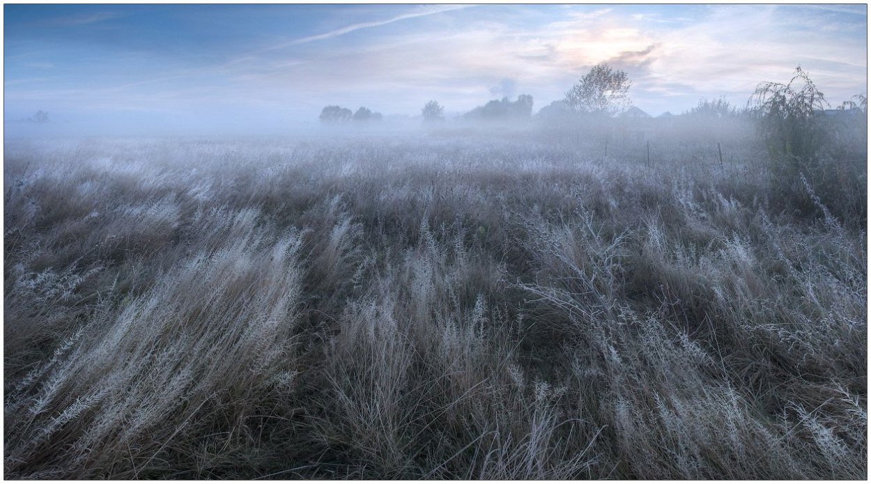 Ева Григорян
