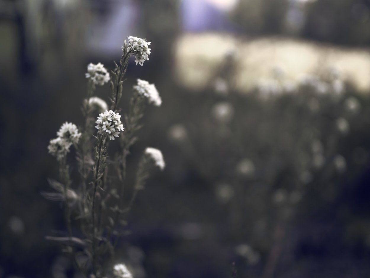 Женщина в возрасте