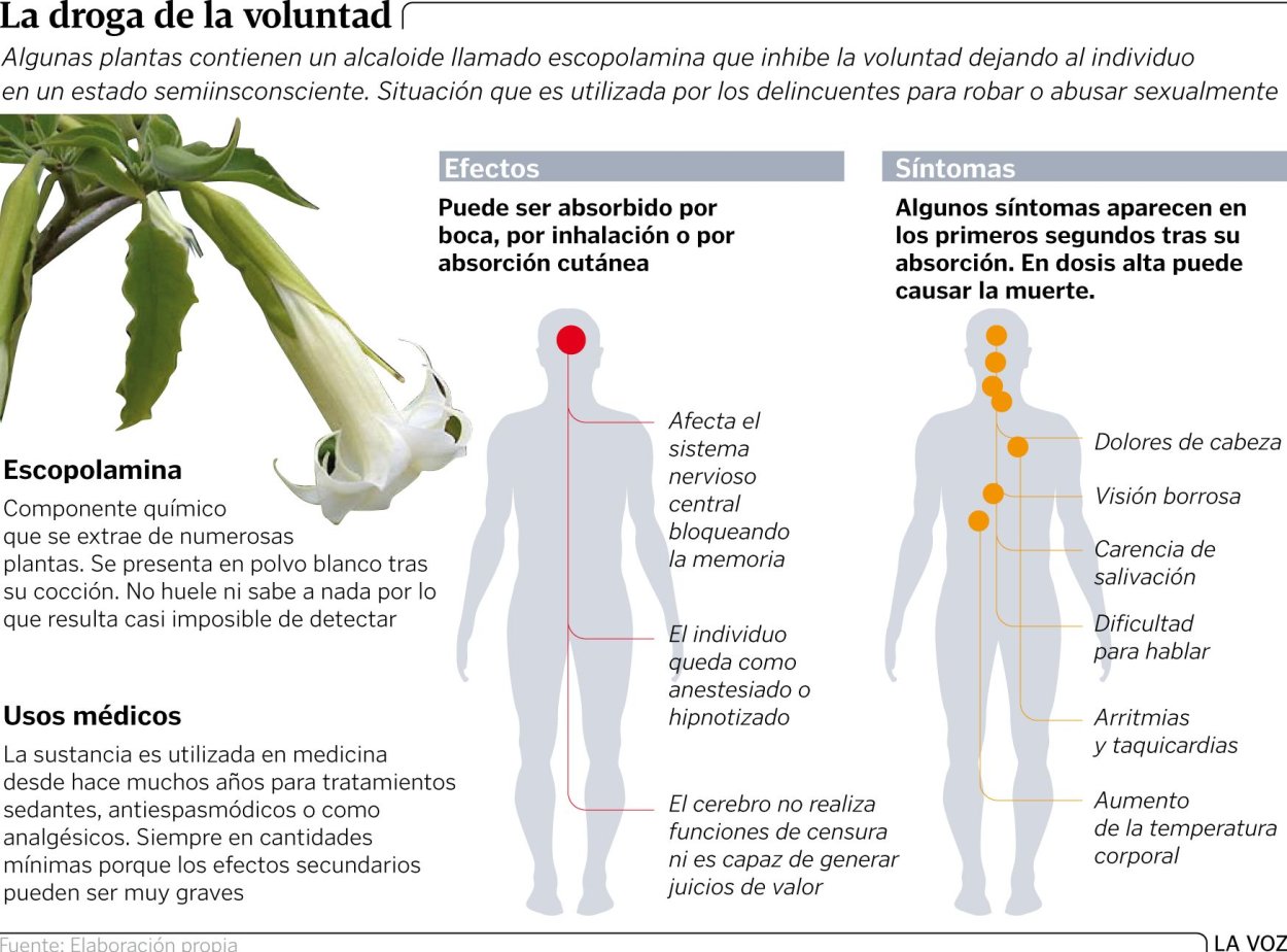 Растения для алхимии