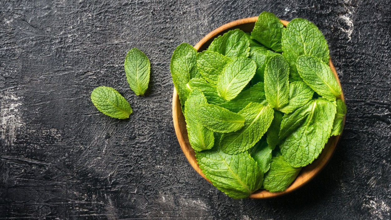 Мята 'Ginger Mint'