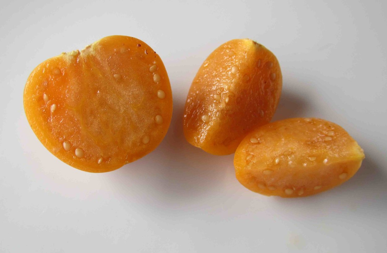 Ягода в сухой оболечке