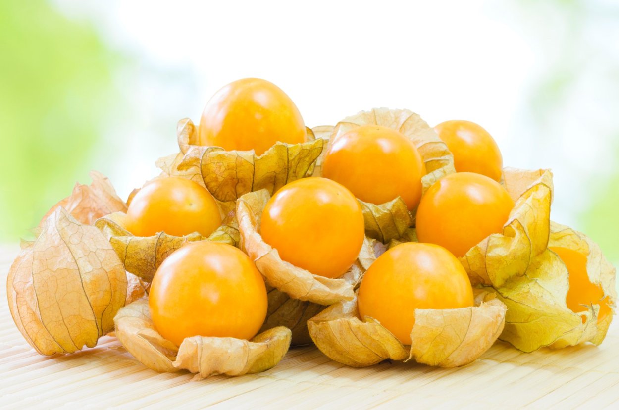 Желтая клюква физалис