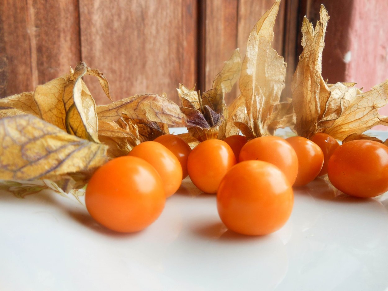 Осенний физалис