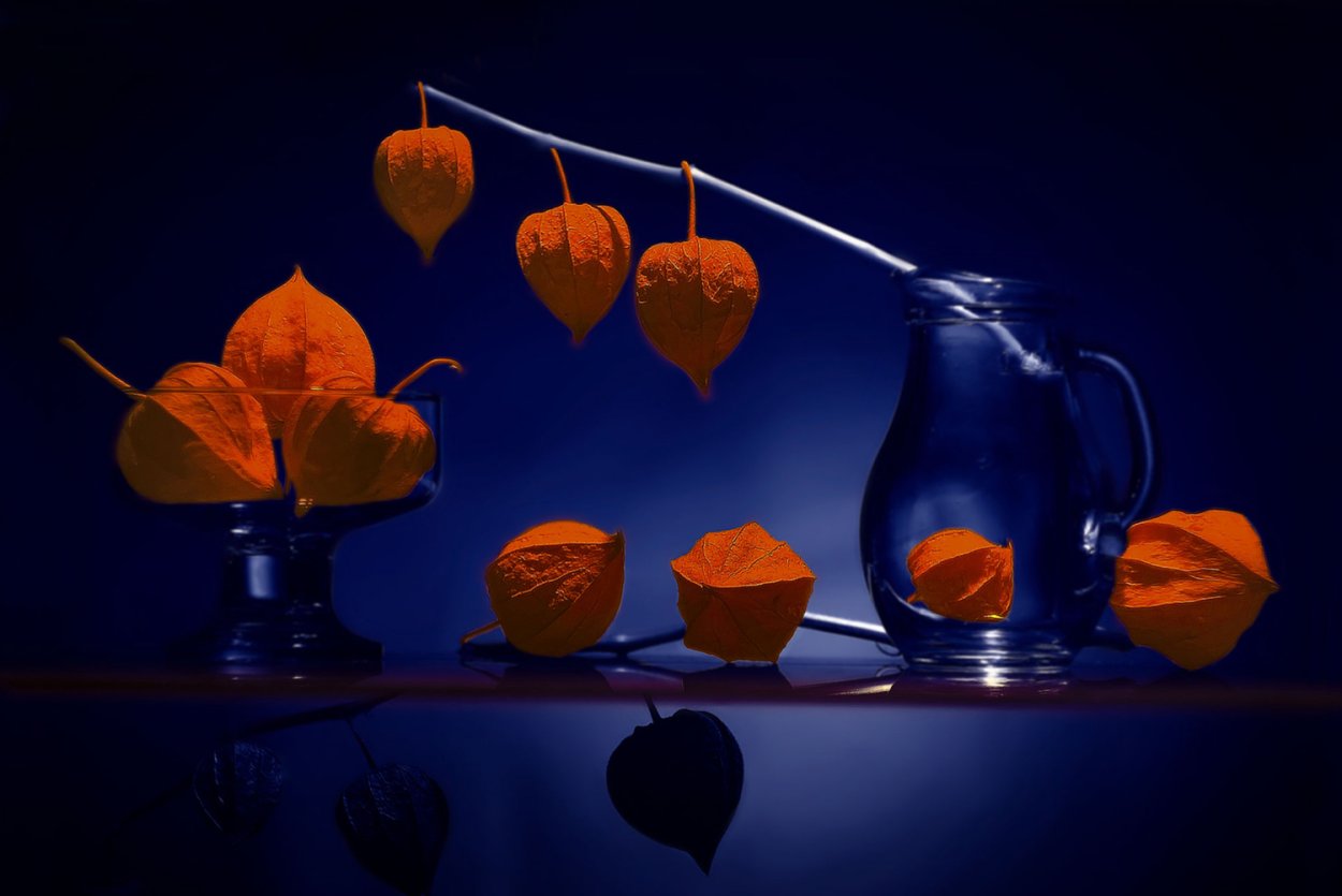 Физалис Эстетика