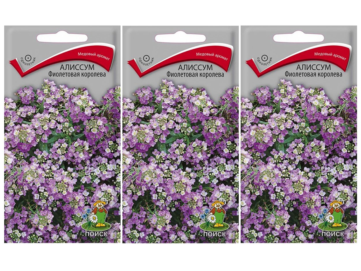 Алиссум Бимбо белый